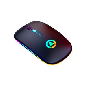 Mouse